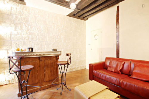 Very cosy studio apartment next to Temple du Marais - Gallery - 10