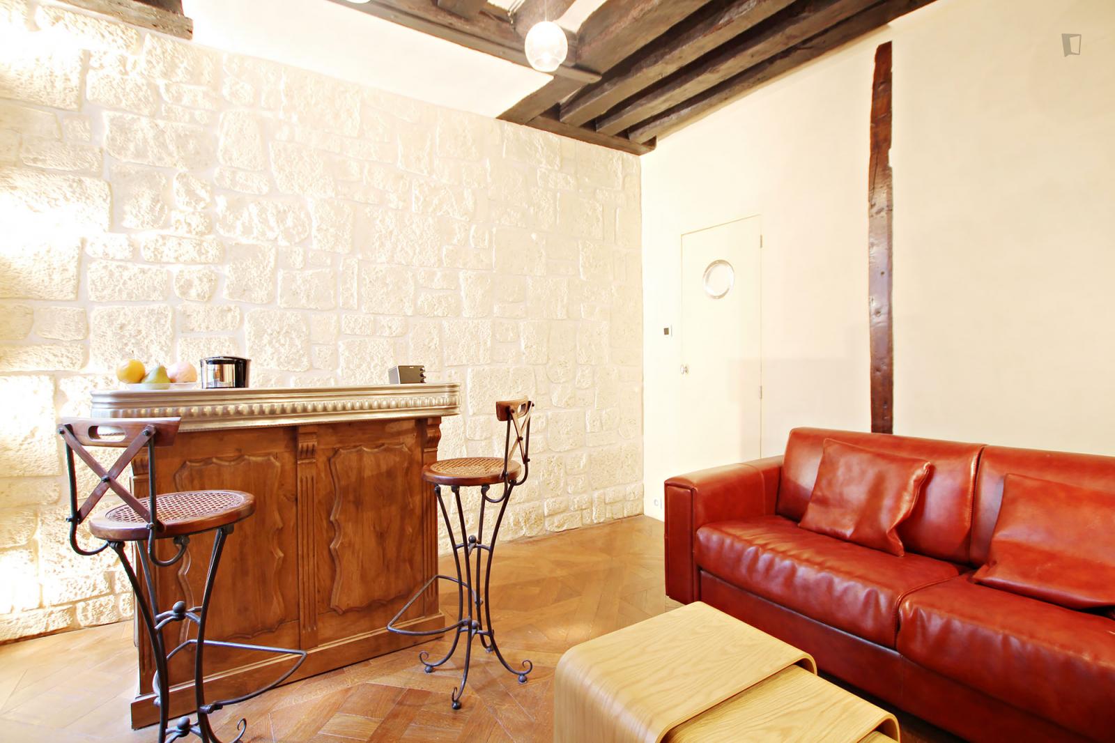 Very Cosy Studio Apartment Next To Temple Du Marais - 1