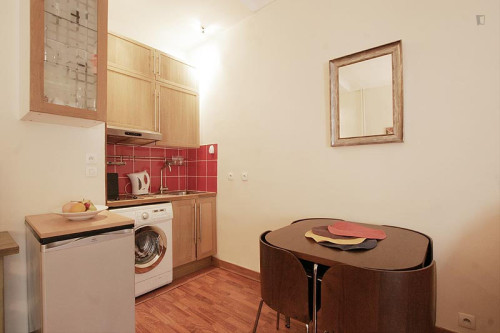 Interesting studio near Place de la Bastille