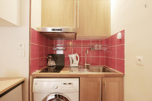 Interesting studio near Place de la Bastille - Gallery - 9
