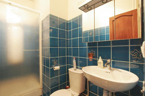 Interesting studio near Place de la Bastille
