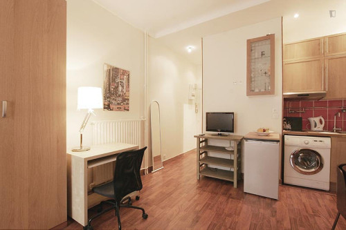 Interesting studio near Place de la Bastille - Gallery - 7