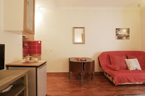 Interesting studio near Place de la Bastille - Gallery - 15