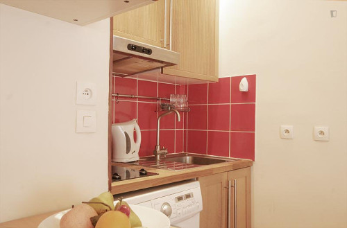 Interesting studio near Place de la Bastille