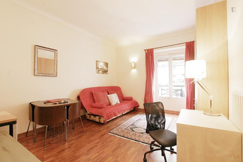 Interesting studio near Place de la Bastille - Gallery - 11