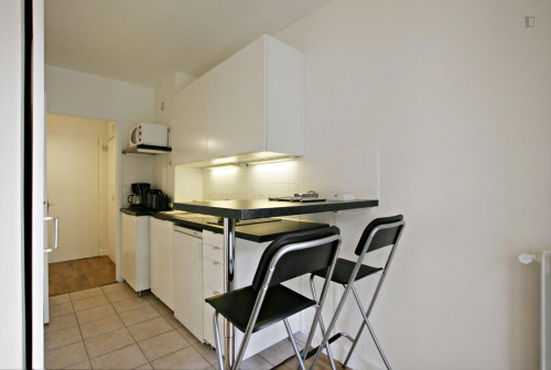 Elegant studio close to Tour Eiffel - Gallery - 7