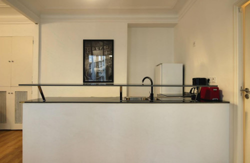 Beautiful 1-bedroom apartment near Place de la Bastille