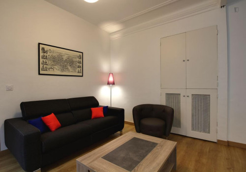 Beautiful 1-bedroom apartment near Place de la Bastille