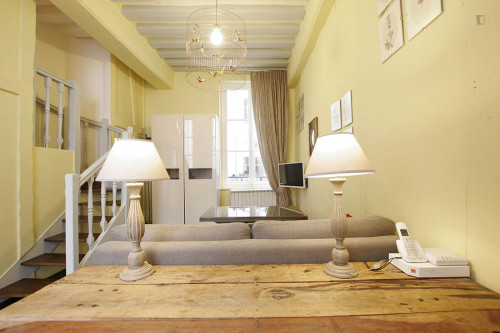 Large studio close to Cathédrale Notre-Dame de Paris - Gallery - 15