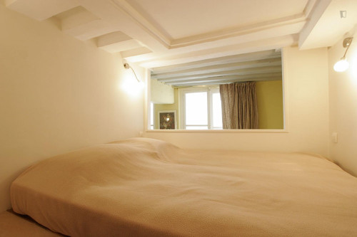 Large studio close to Cathédrale Notre-Dame de Paris - Gallery - 18