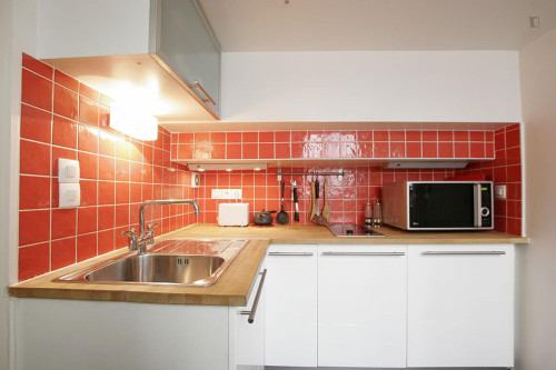 Large studio close to Cathédrale Notre-Dame de Paris - Gallery - 11