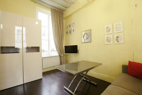 Large studio close to Cathédrale Notre-Dame de Paris - Gallery - 12