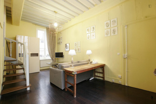 Large studio close to Cathédrale Notre-Dame de Paris - Gallery - 16