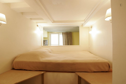 Large studio close to Cathédrale Notre-Dame de Paris - Gallery - 10