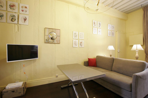 Large studio close to Cathédrale Notre-Dame de Paris - Gallery - 14