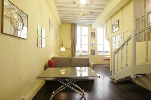 Large studio close to Cathédrale Notre-Dame de Paris - Gallery - 17