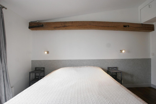 Extraordinary 1-bedroom apartment near Grands Boulevards