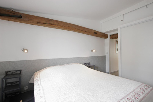 Extraordinary 1-bedroom apartment near Grands Boulevards