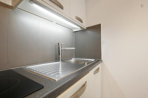 Neat 1-bedroom apartment close to Universite de Paris IV-Sorbonne - Gallery - 11