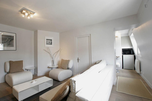 Modern 2-bedroom apartment near Jardins des Tuileries - Gallery - 20