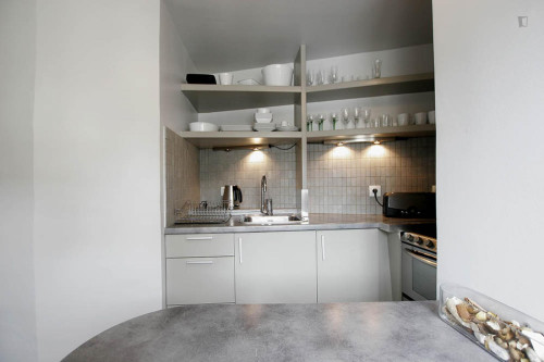 Modern 2-bedroom apartment near Jardins des Tuileries - Gallery - 16