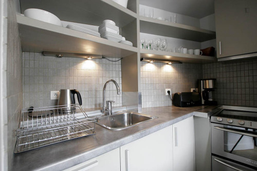 Modern 2-bedroom apartment near Jardins des Tuileries - Gallery - 17
