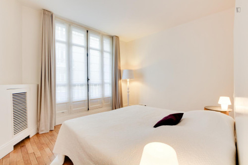 Comfy 2-bedroom apartment near Trocadéro