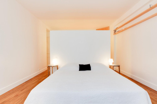 Comfy 2-bedroom apartment near Trocadéro