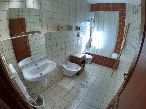 Charming 1-bedroom apartment in São Brás de Alportel - Gallery - 16