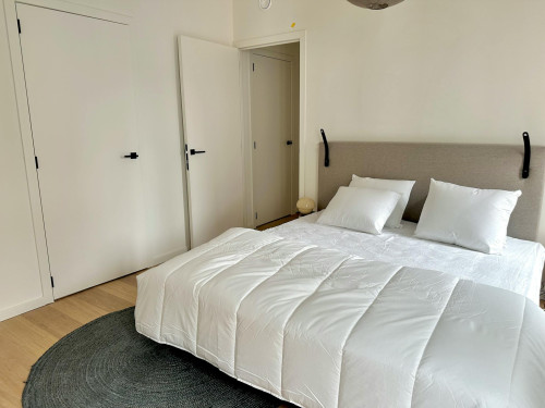 Zirkstraat, Antwerpen - Gallery - 6