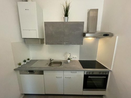 Lassallestraße, Vienna - Gallery - 7