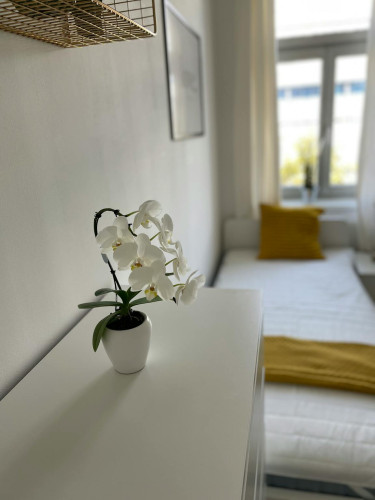Lassallestraße, Vienna