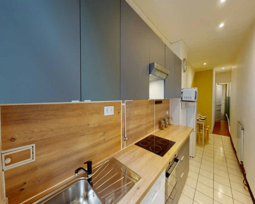 Rue Constantine, Lyon - Gallery - 7