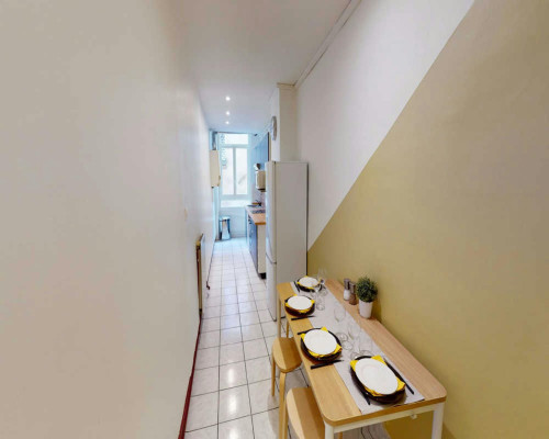 Rue Constantine, Lyon - Gallery - 8