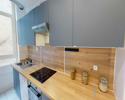 Rue Constantine, Lyon - Gallery - 6