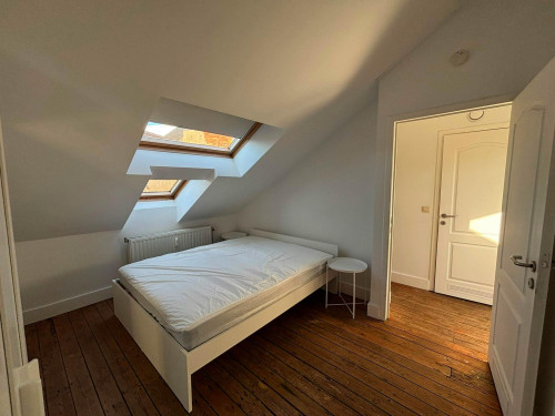 Isabellalei, Antwerpen