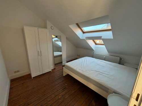 Isabellalei, Antwerpen