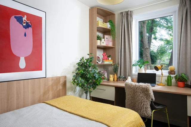 Dorset House - Gallery - 9
