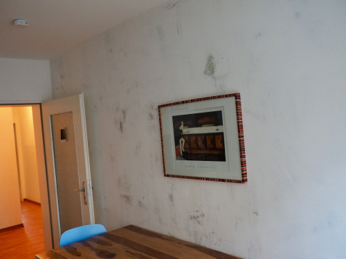 Central & Comfortable. Charming apartment in Düsseldorf - Gallery - 18