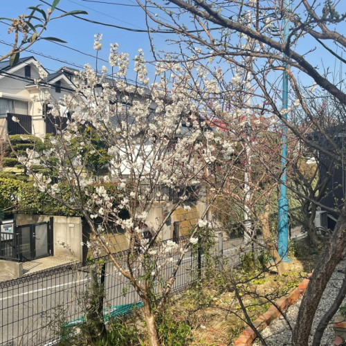 Kanagawa Collective - Gallery - 10
