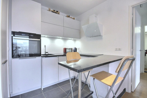 Charming 1-bedroom flat in Issy-les-Moulineaux - Gallery - 11