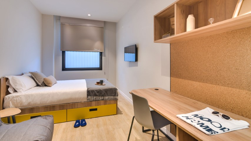 Studio With Kitchen - Superior Accessible - 3