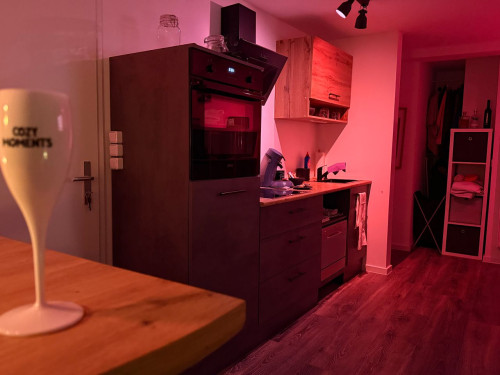 Exclusive Single Room Appartement in an old glassworks company, fully furnished