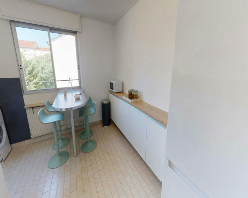 Rue Salomon Reinach, Lyon - Gallery - 5