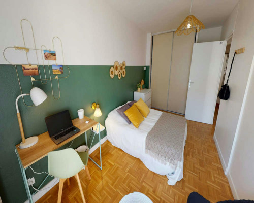 Rue Salomon Reinach, Lyon