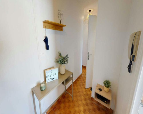 Rue Salomon Reinach, Lyon - Gallery - 8