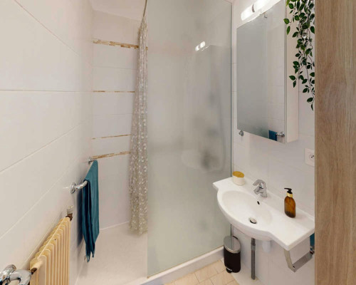 Rue Salomon Reinach, Lyon - Gallery - 10