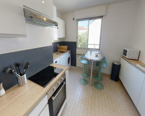 Rue Salomon Reinach, Lyon - Gallery - 7