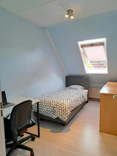 Gravin van Burenlaan, Amersfoort