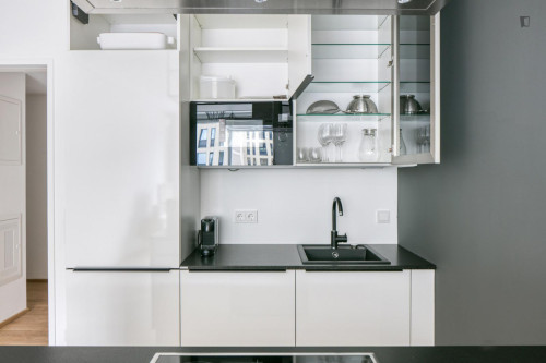 Nice 1-bedroom flat near the Schlachthausgasse subway station